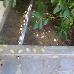 Aristea 아파트