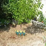 Aristea 아파트 Mousata