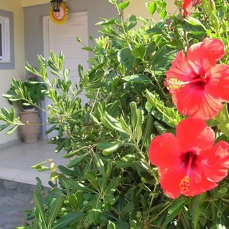 Aristea Apartment