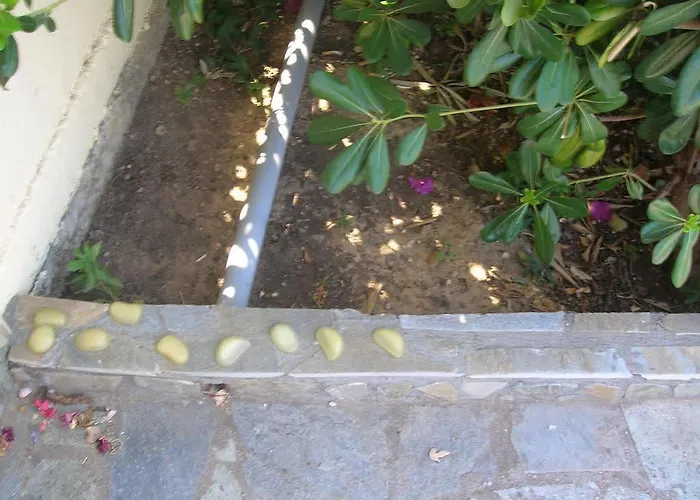 Aristea Appartamento